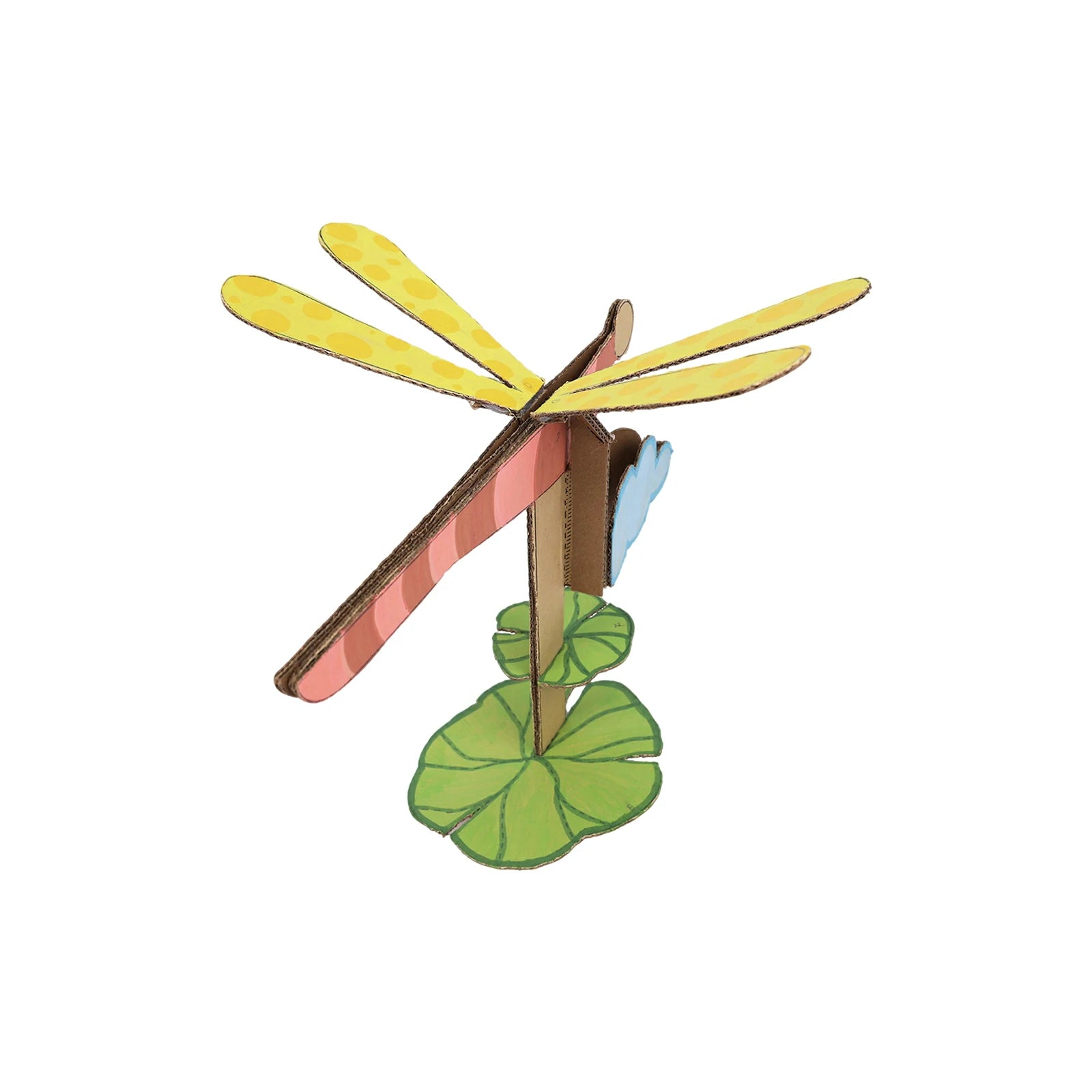 Dragonfly Motion Digital Kit