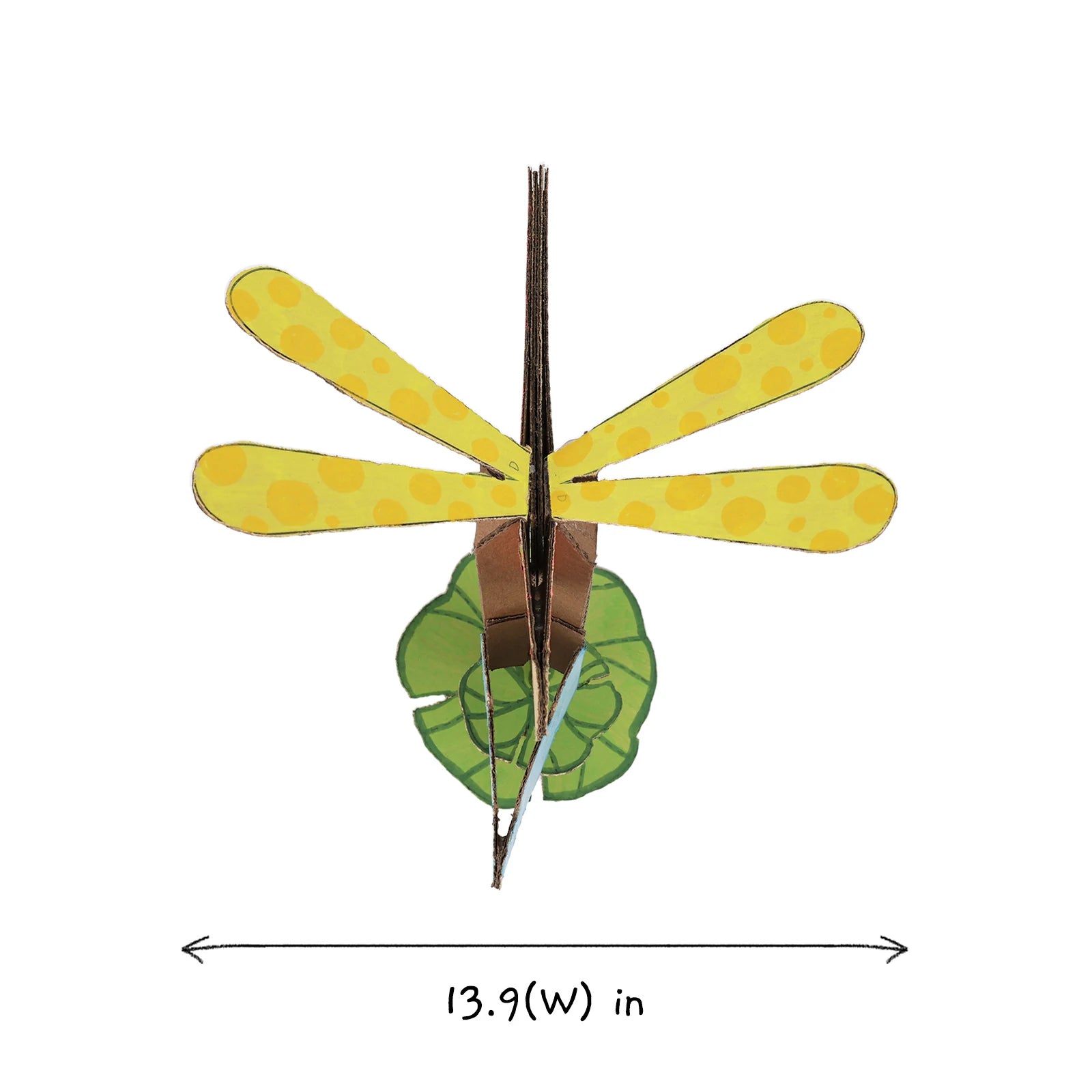 Dragonfly Motion Digital Kit