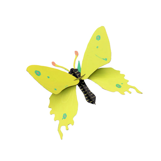 Flutter & Fit Material Kit 02