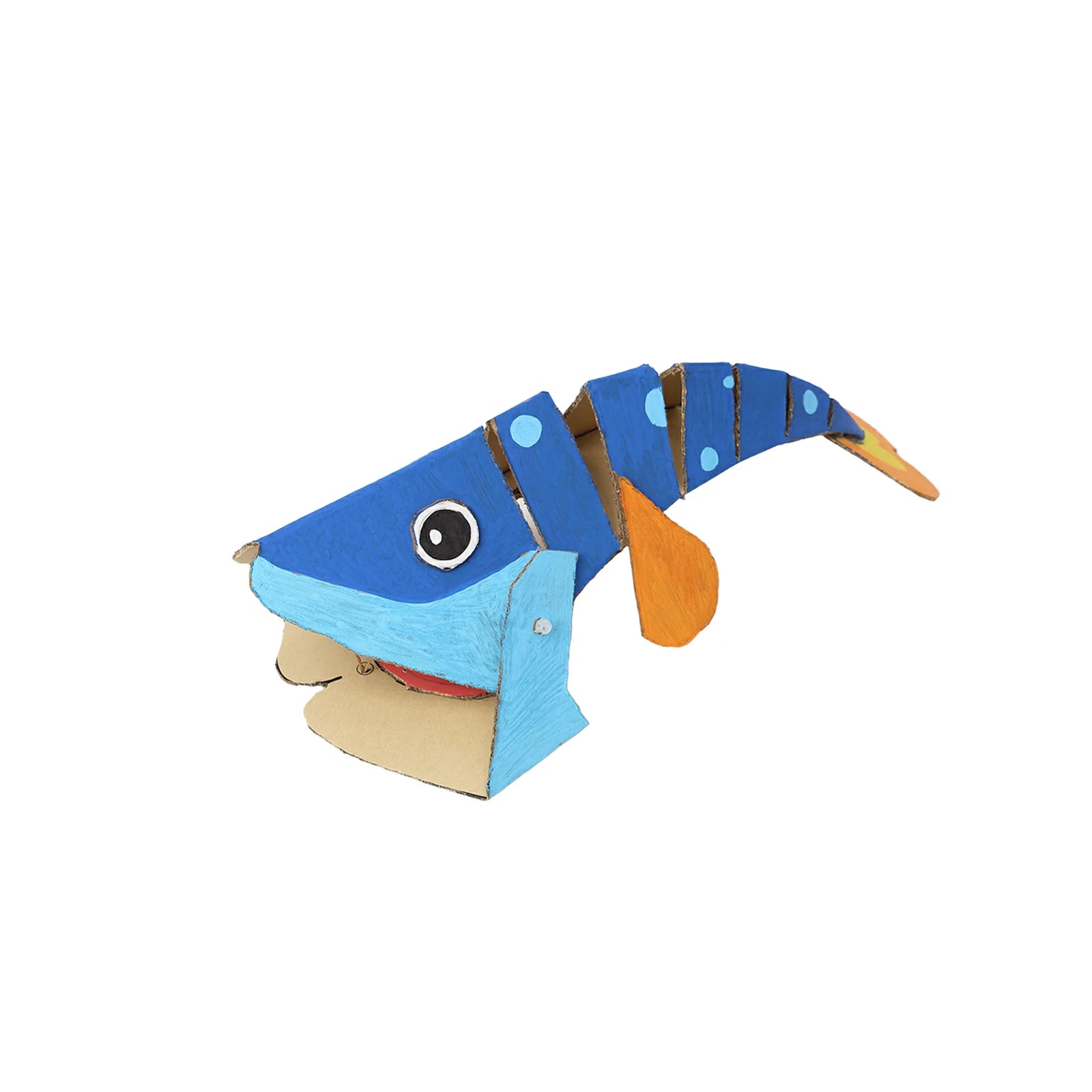 Flying Fish Adventure Material Kit