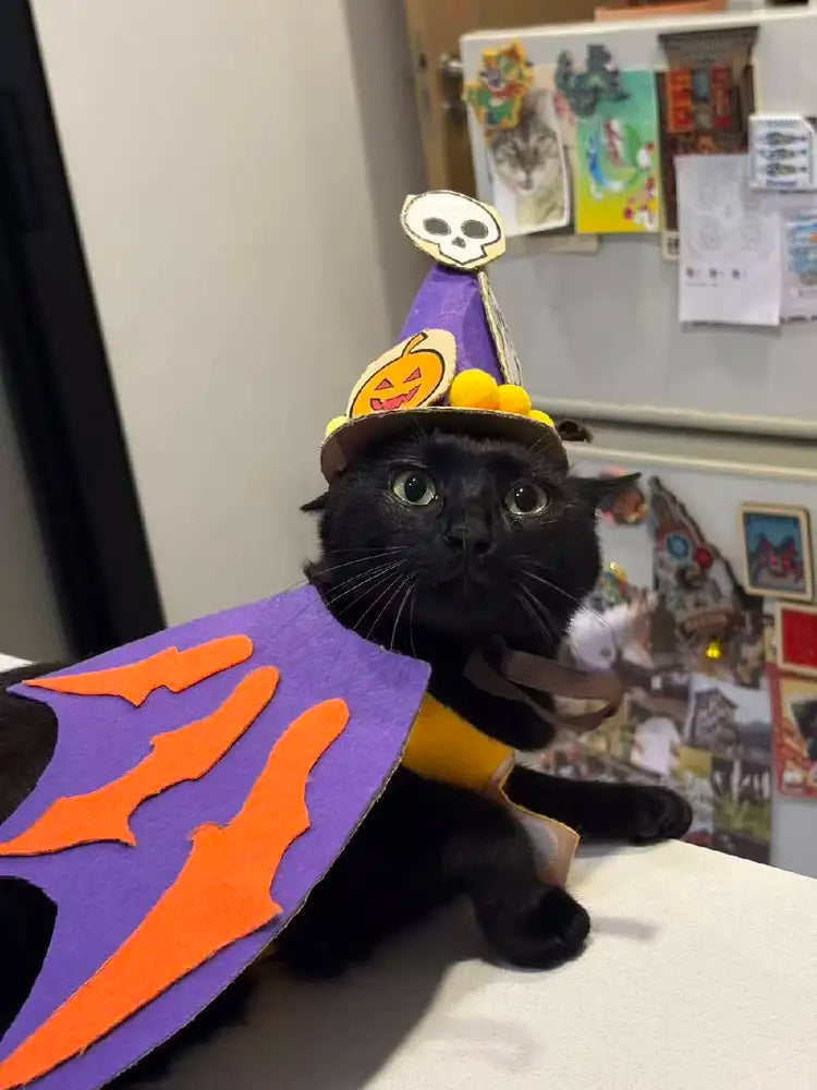 Little Wizard Pet Outfit Material Kit