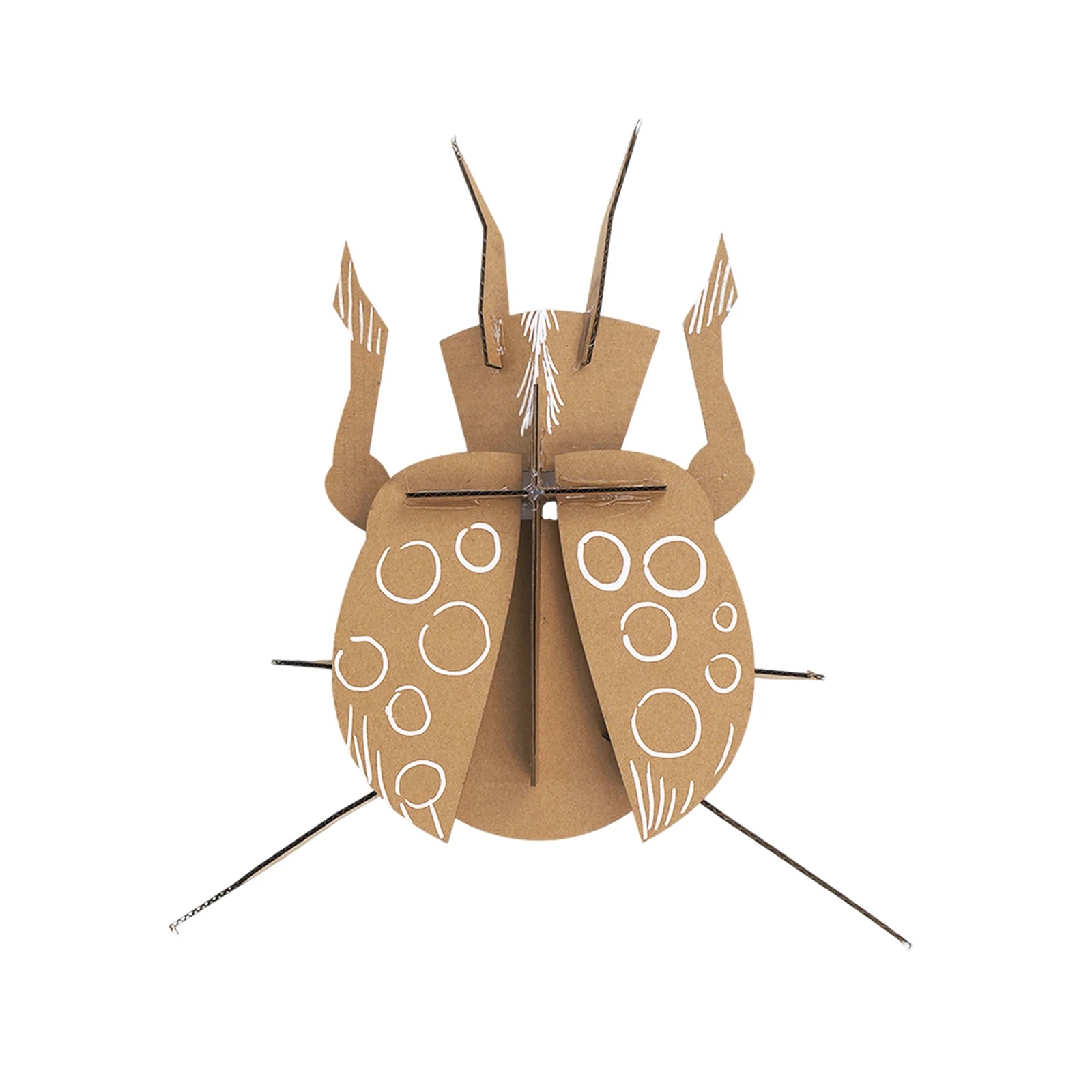 STEAM Mecha-Beetle Material Kit