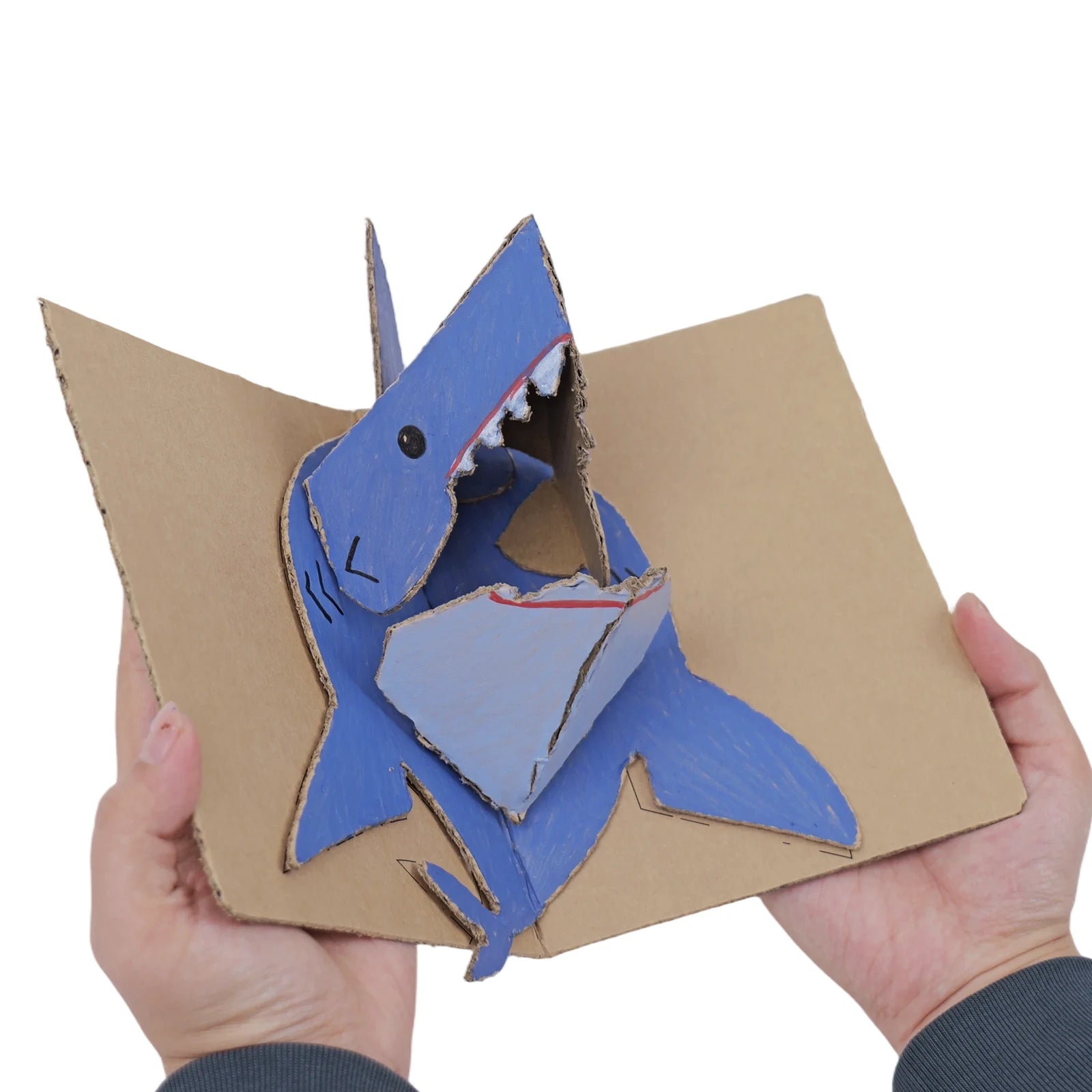 Shark Flipbook Story Material Kit