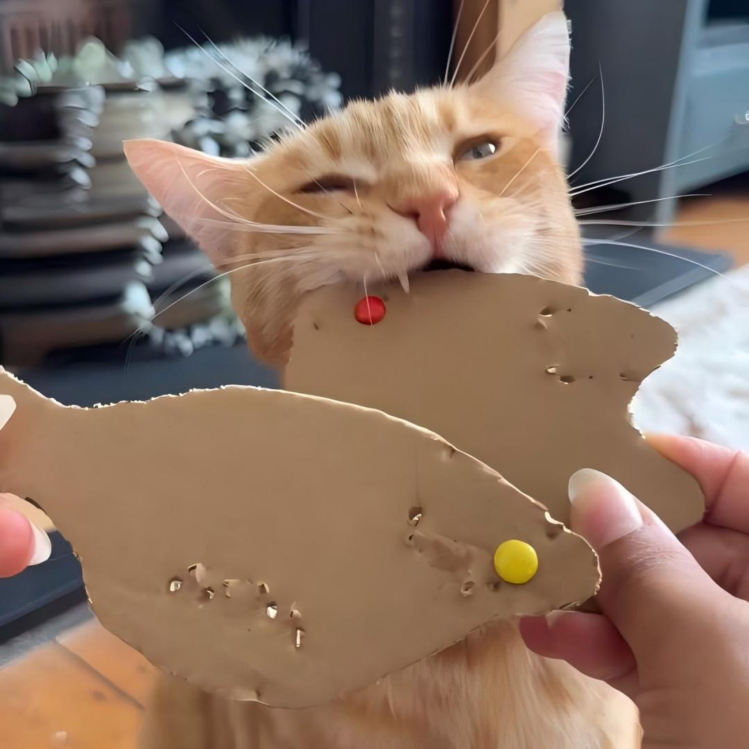 Fishing Cardboard Material Kit